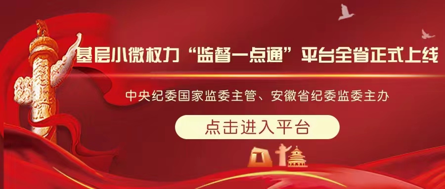 “监督一点通”服务平台在全省正式上线——畅通基层监督渠道 解决群众急难愁盼